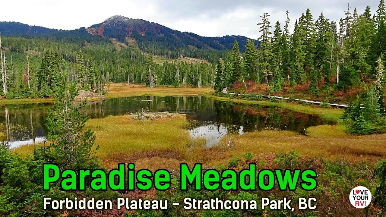 Осенний визит в кольцевой маршрут Paradise Meadows — Запретная зона плато в провинциальном парке ...