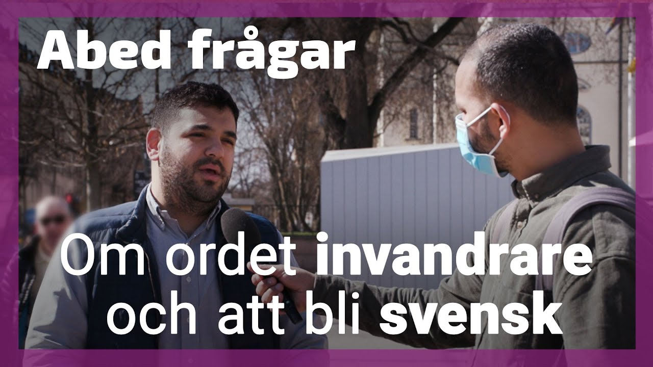 Vad tycker du om ordet invandrare?