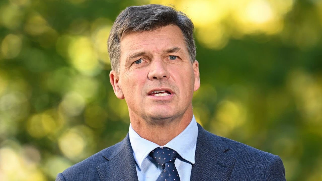 ‘Not a hard call’: Angus Taylor lashes Labor’s ‘band-aid on a bullet wound’ tax reform