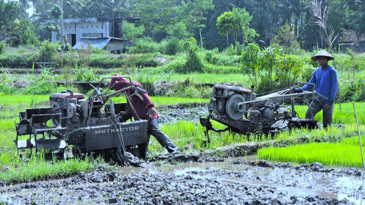 Hand Tractor Power Tiller: Tilling Wet Land Made Easy!