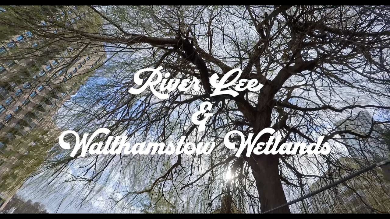 4K Walk Walthamstow Wetlands River Lee Tottenham Hale