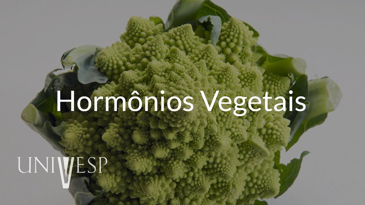Fisiologia Vegetal - Aula 06 - Hormônios Vegetais