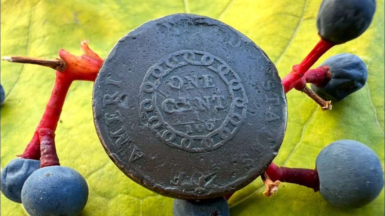 &ldquo;Appreciating the Coin.&rdquo; Reflecting on a 1793 S-1 &ldquo;Ameri.&rdquo; Chain Cent. #numismatics #coincollecting 