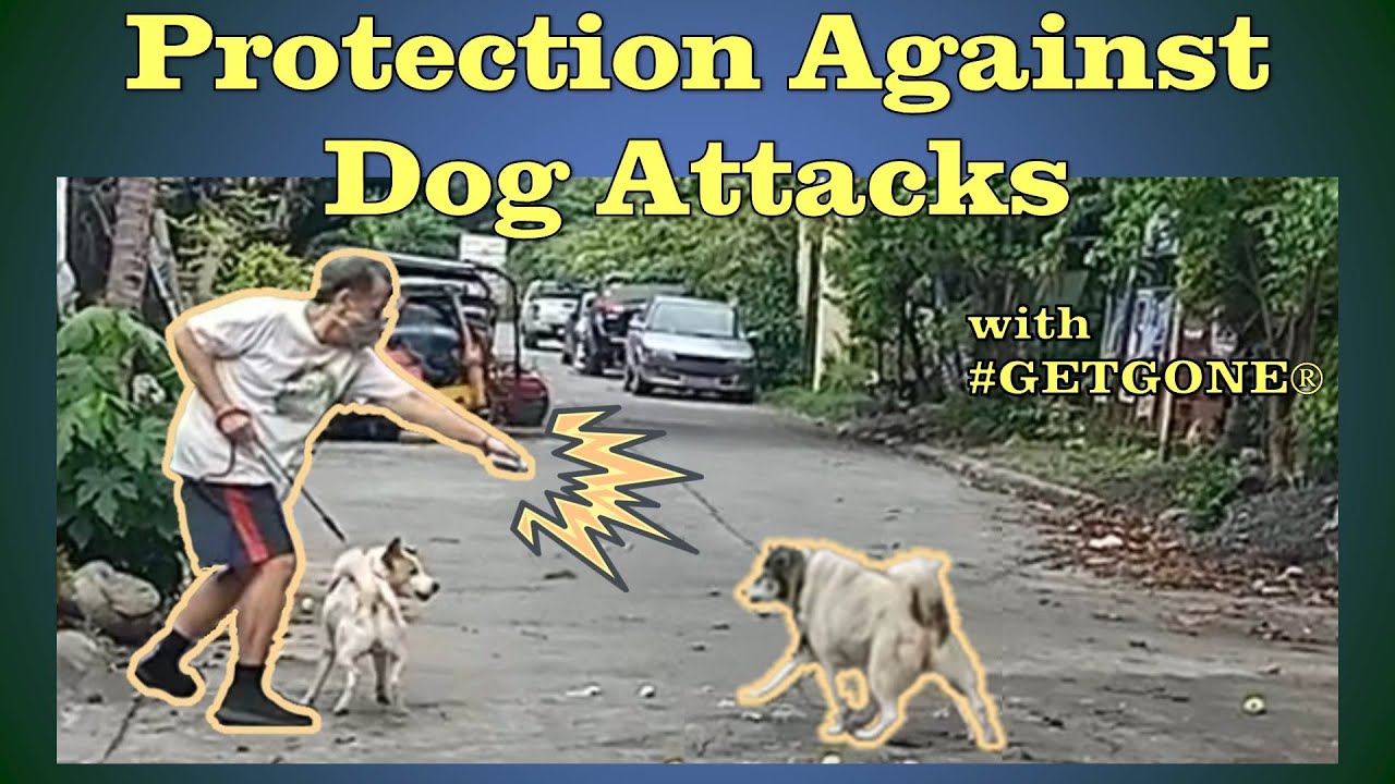 Protection Against Dog Attacks Using GetGone