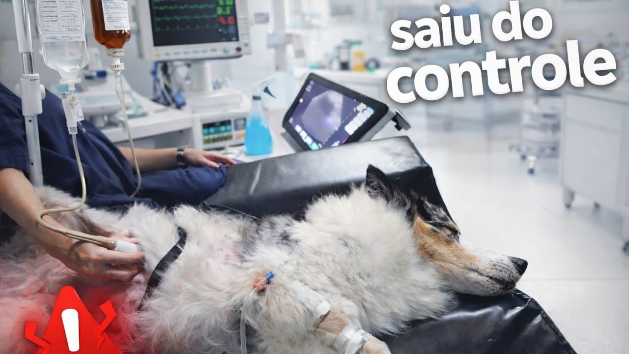 DOENTE NA AMÉRICA CENTRAL - Rumo ao Alaska - T03 EP140