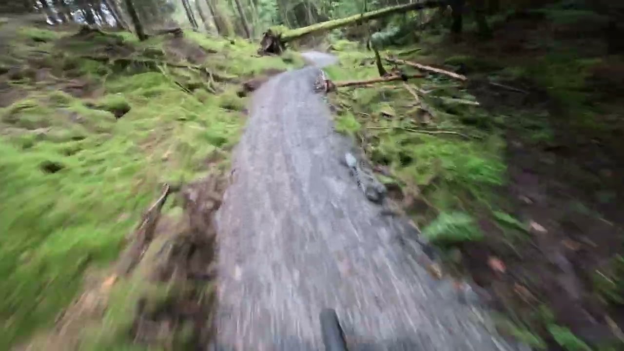 larsnes downhill 2