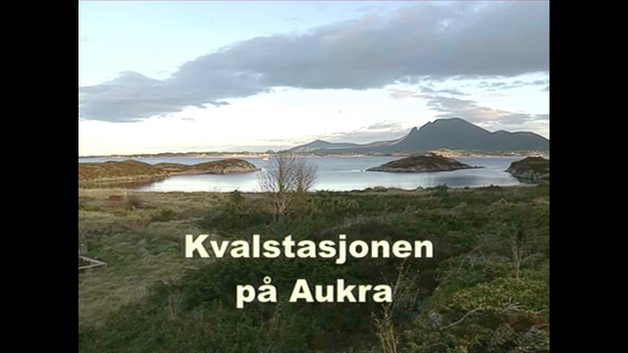 Kvalstasjonen på Aukra