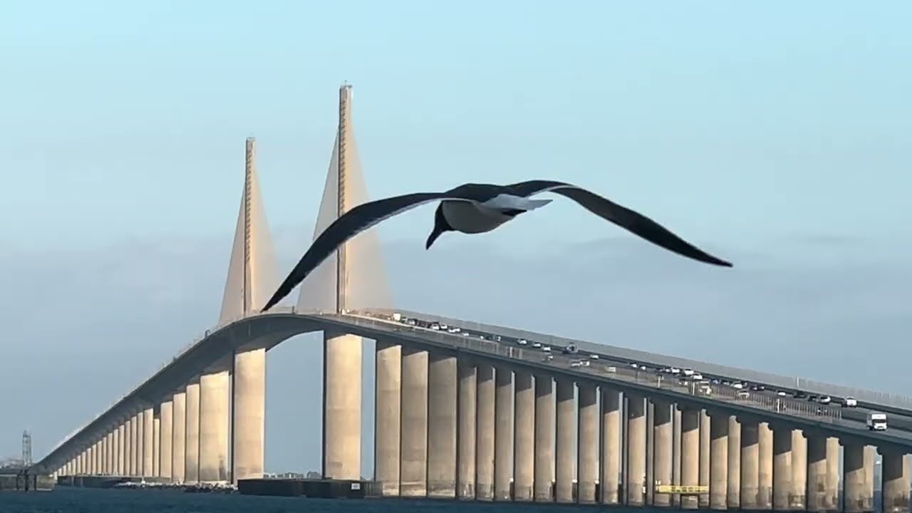 Morning drive to  Skyway  Fishing Pier 