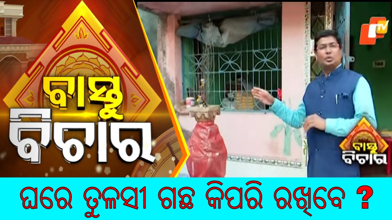 Bastu Bichar 20 march 2022|How can I put Tulsi plant at home?ଘରେ ତୁଳସୀ ଗଛ କିପରି ରଖିବେ ?