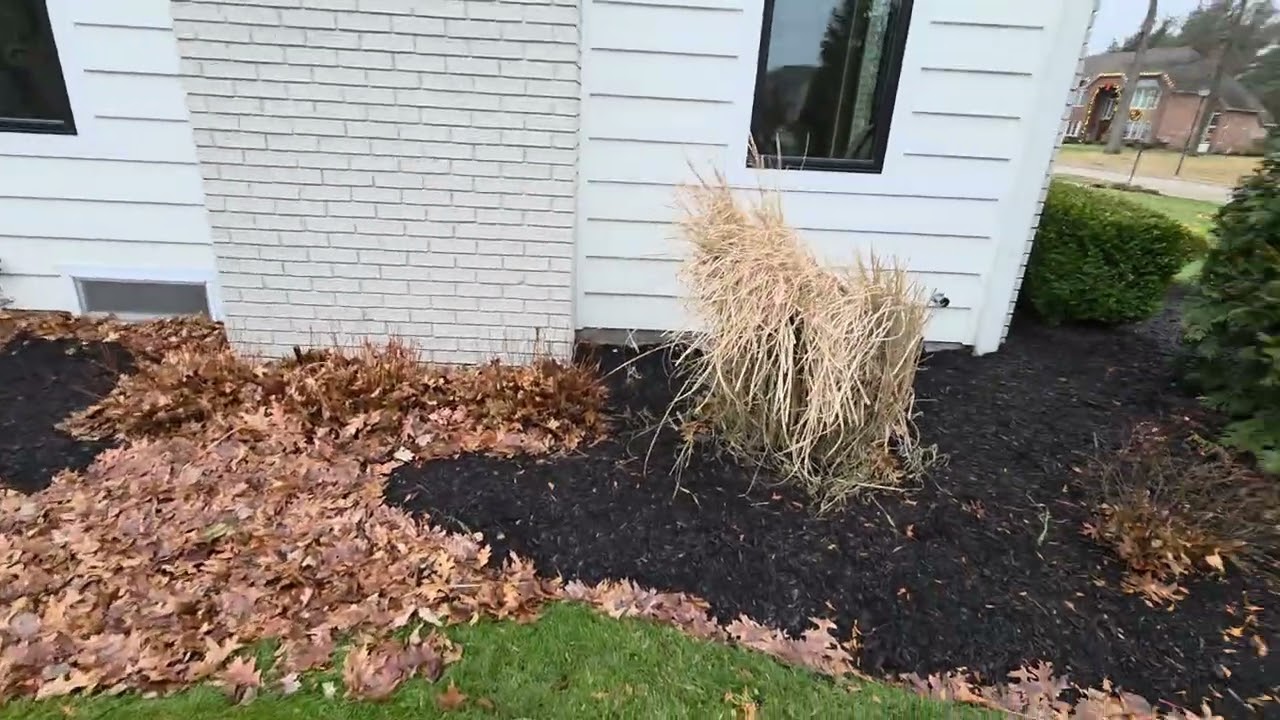 Taylor- Leaf Clean Up
