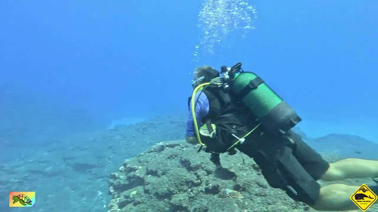 Panne d'air à pain de sucre