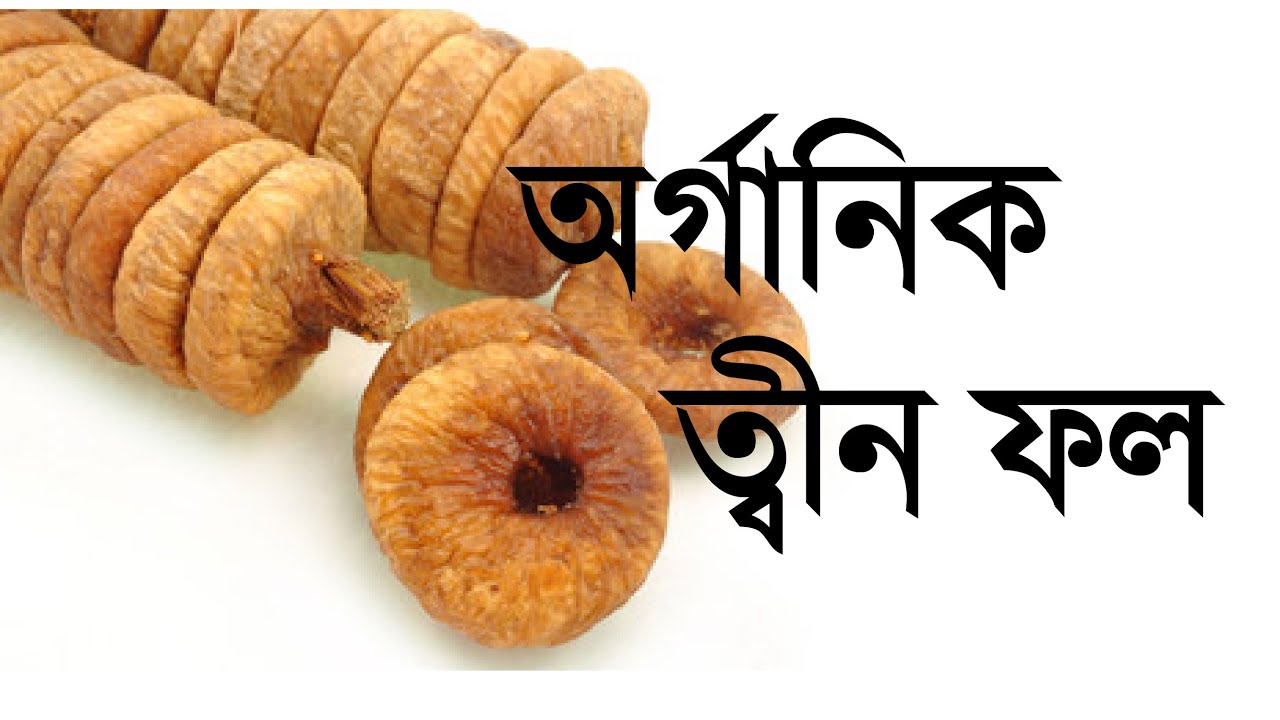 পাইকারী বা খুচরা দাম ত্বীন ফল কিনুন || পবিত্র কুরআনে বর্ণিত ত্বীন ফল উপকার ( Tin fruit / Fig in pot)