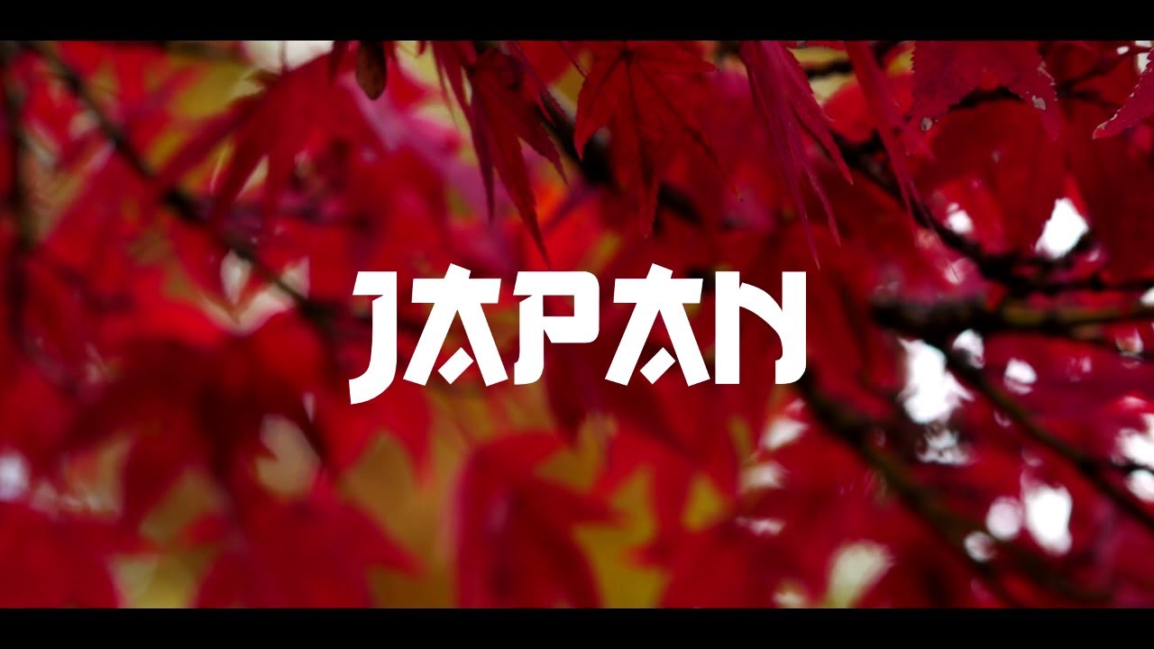 ROAD TRIP JAPON