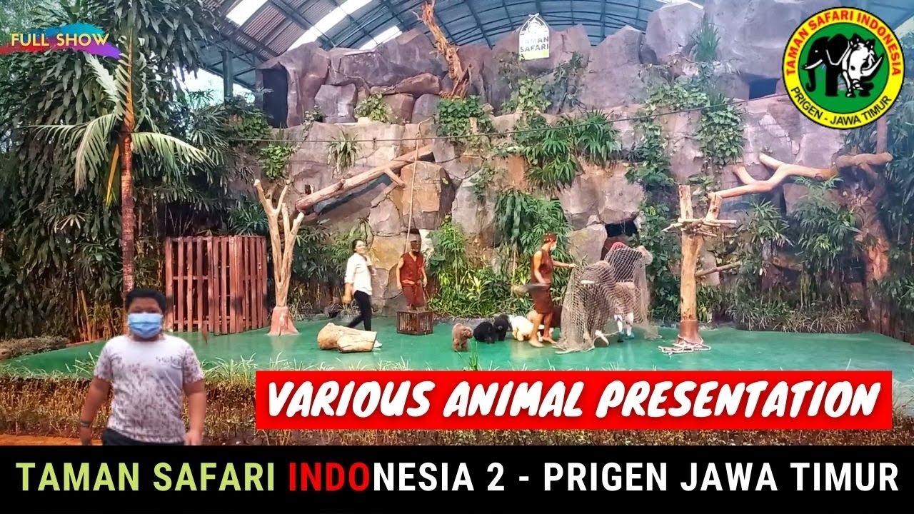 VARIOUS ANIMAL PRESENTATION TAMAN SAFARI INDONESIA 2 | Prigen Pasuruan Jawa Timur