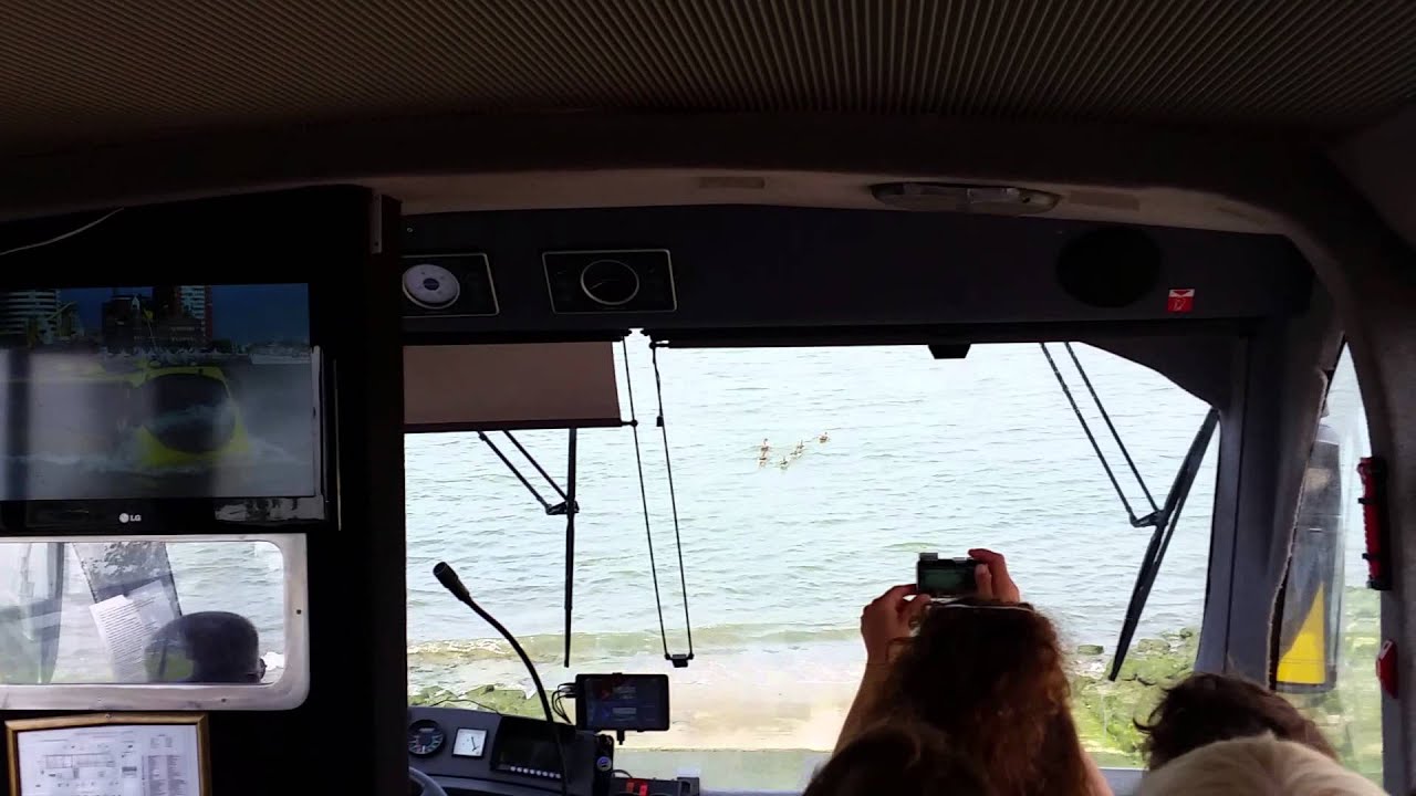 Splash Tours in Rotterdam