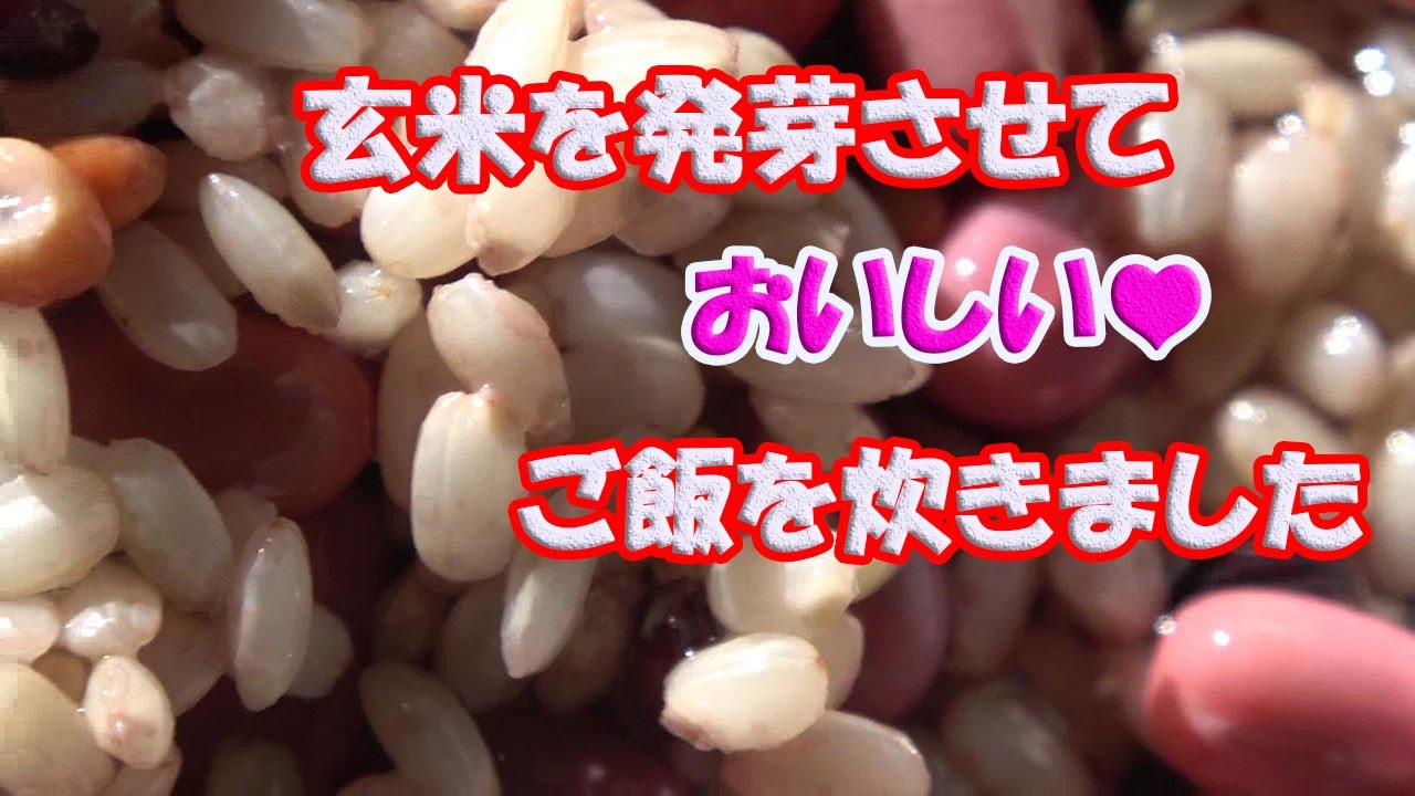 発芽玄米作り方、炊き方