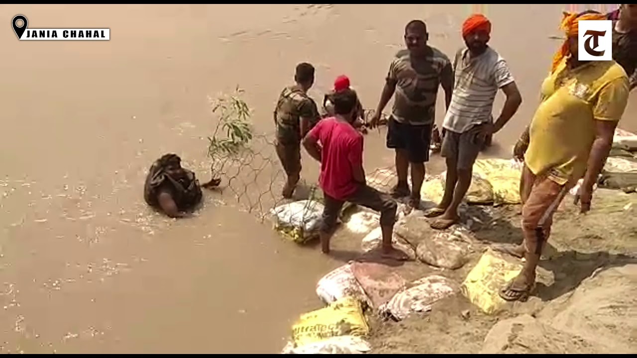 Jalandhar: Need two weeks to plug the breach at Janian Chahal village,  Vajra Corps
