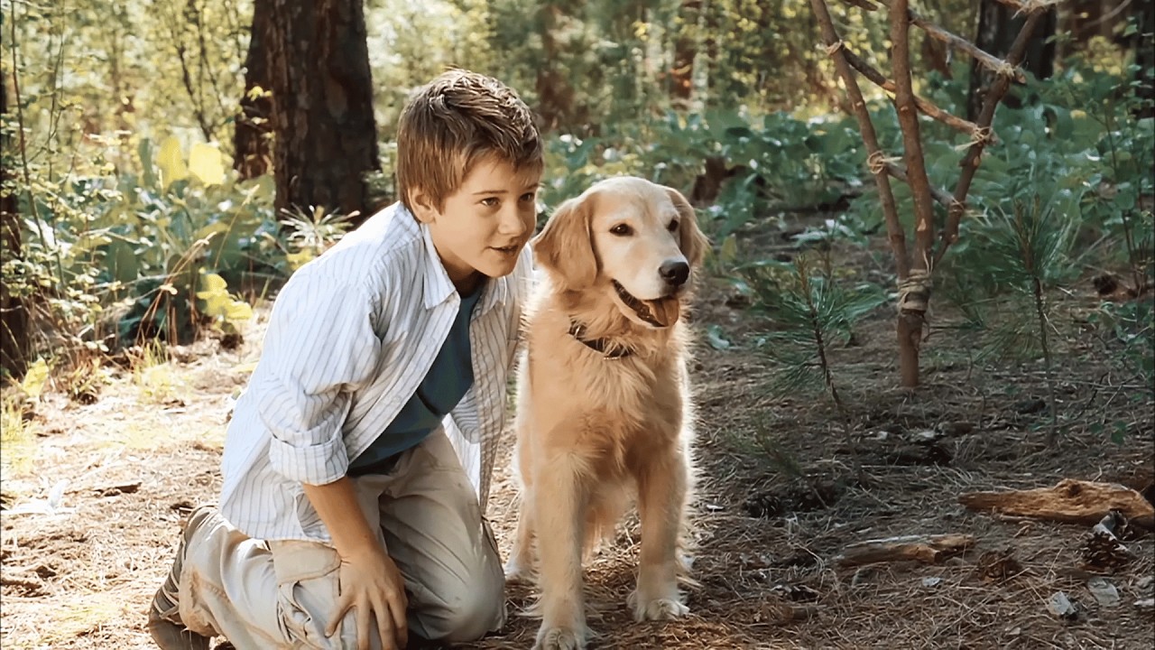 Diamond Dog Caper 🐶 Filme completo dublado 🎬 Uma comedia engraçada sobre amigos de quatro pata