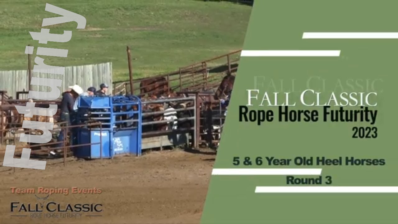 Fall Classic Rope Horse Futurity 2023 - Heel Horses Round 3