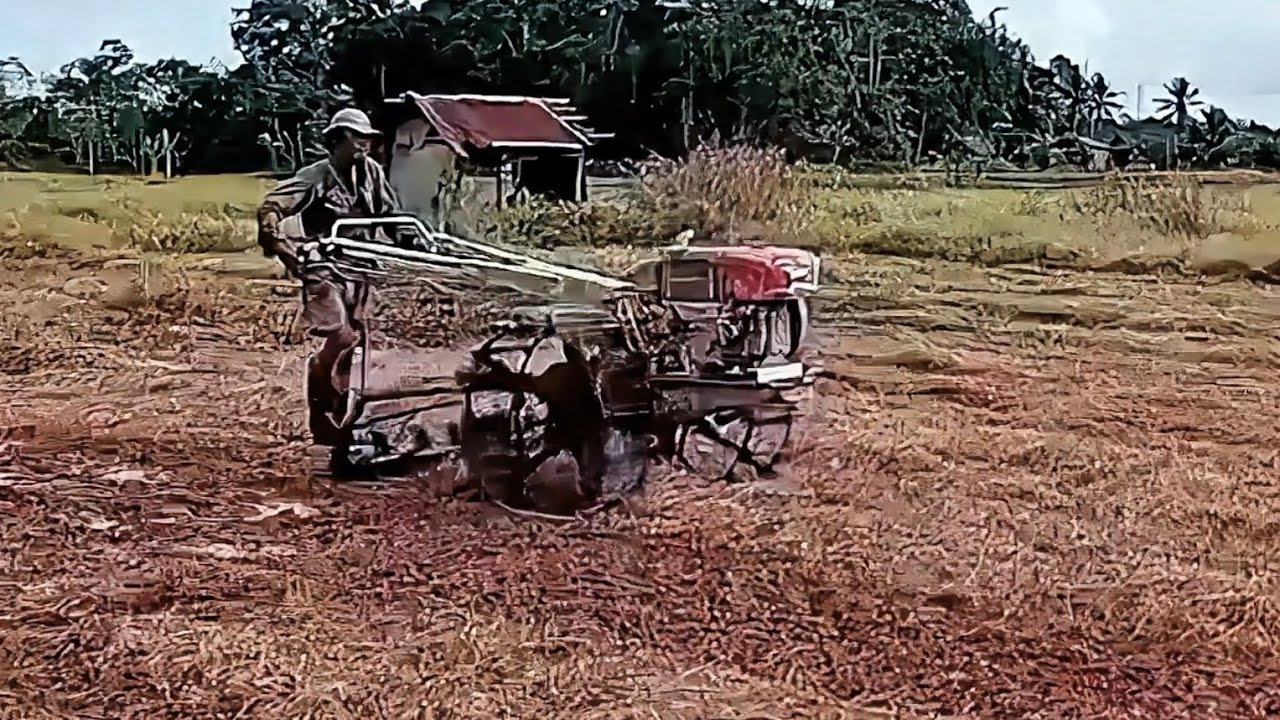 Pengolahan Lahan Sawah Pakai Traktor Sawah Tipe Singkal 8.5 HP Part. 2