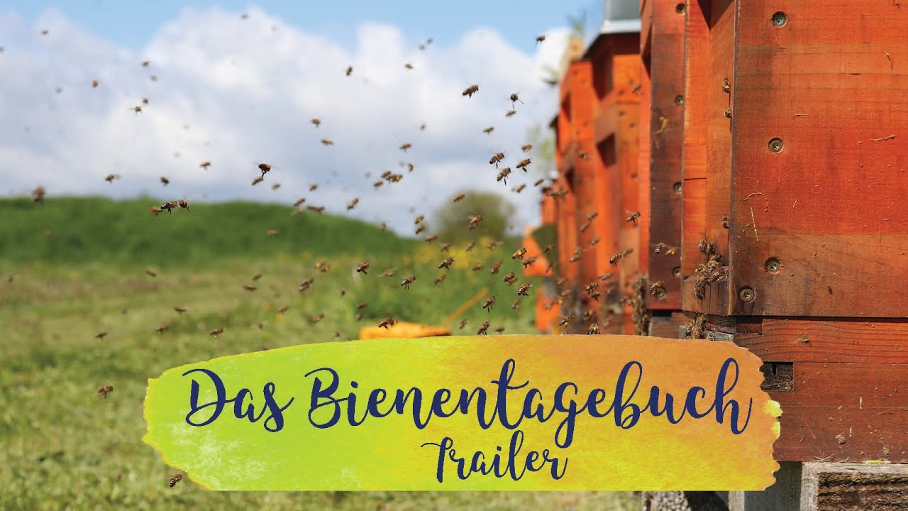 Dziennik pszcz&oacute;ł z gatunku Mellifera | Zwiastun