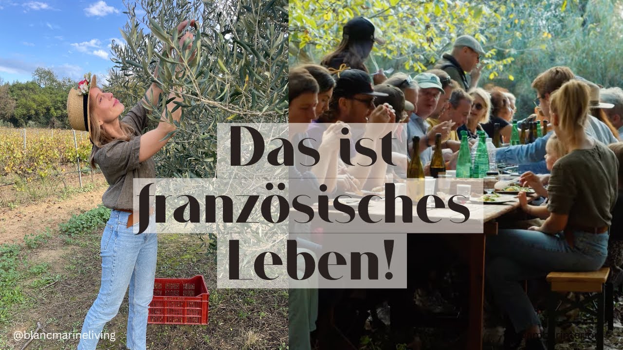 NACH DIESEM VIDEO WOLLT IHR NACH FRANKREICH AUSWANDERN! | Unser Leben in Südfrankreich (ReUp)