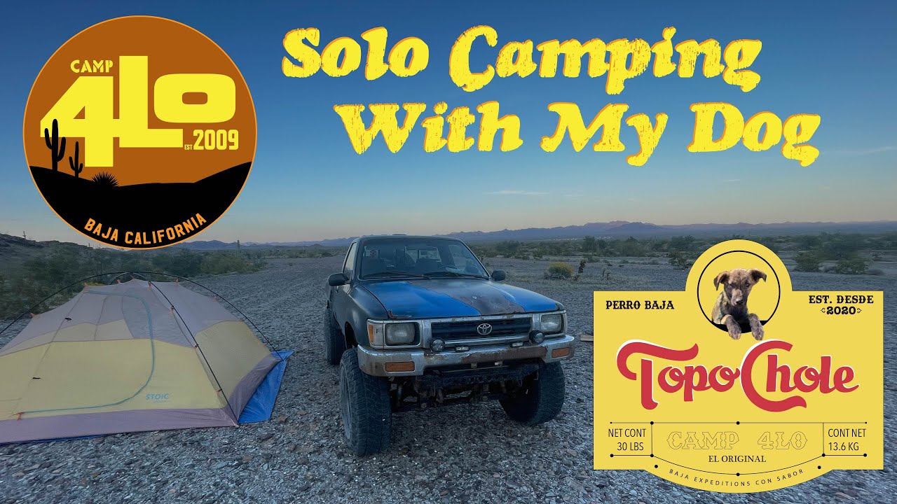 Solo Overnight Camp in Quartzite With My Dog | Camp4LO