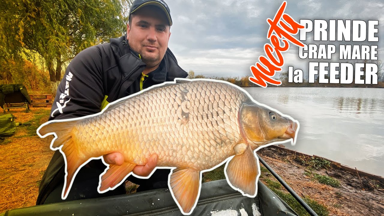 Ce trebuie sa stii cand mergi pe un lac nou pescuind la feeder | lacul Nucetu