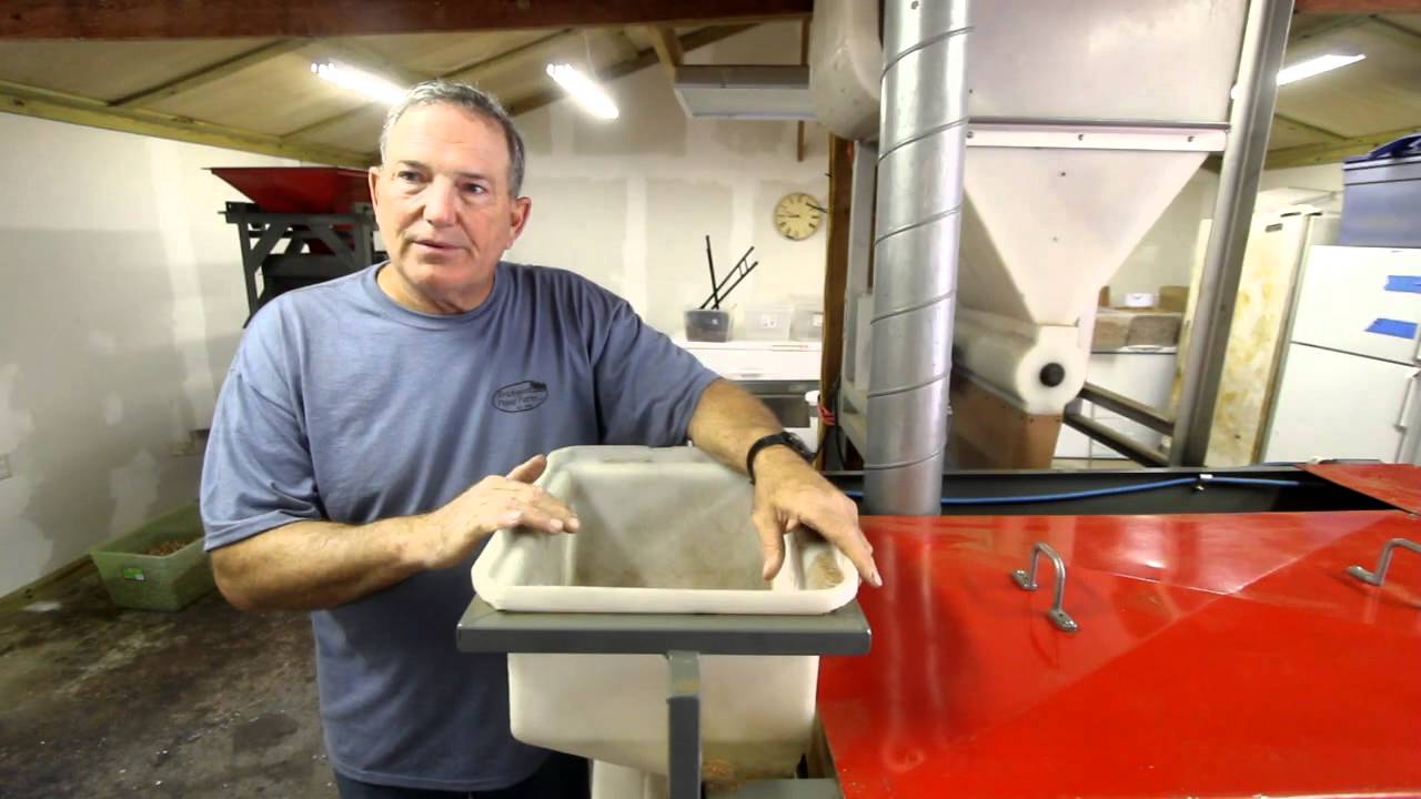 Pecan Processing