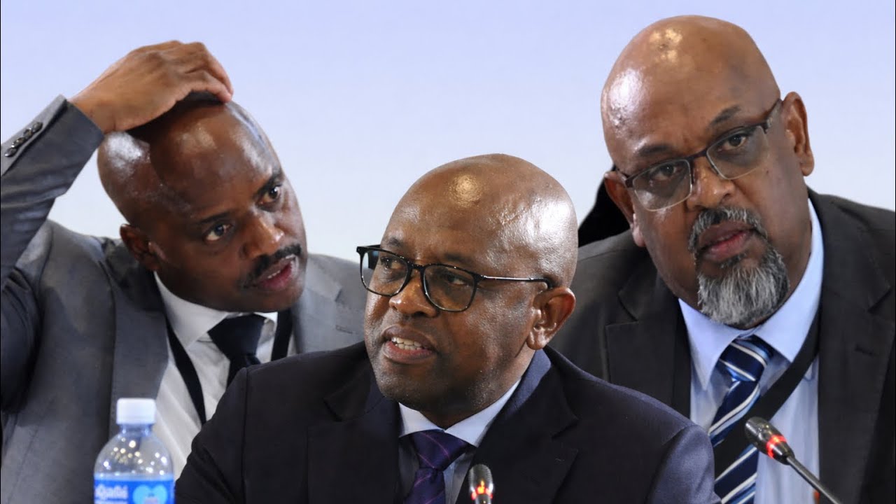 WATCH | EPMD legal head Behari claims no knowledge of Mkhwanazi probe withdrawal