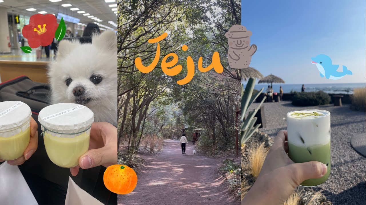 [vlog] 강아지랑 제주도 여행ㅣ반려견 동반 추천 맛집(강아지 동행 안해도 가고 싶은!)ㅣ제주 바다에서 본 돌고래 