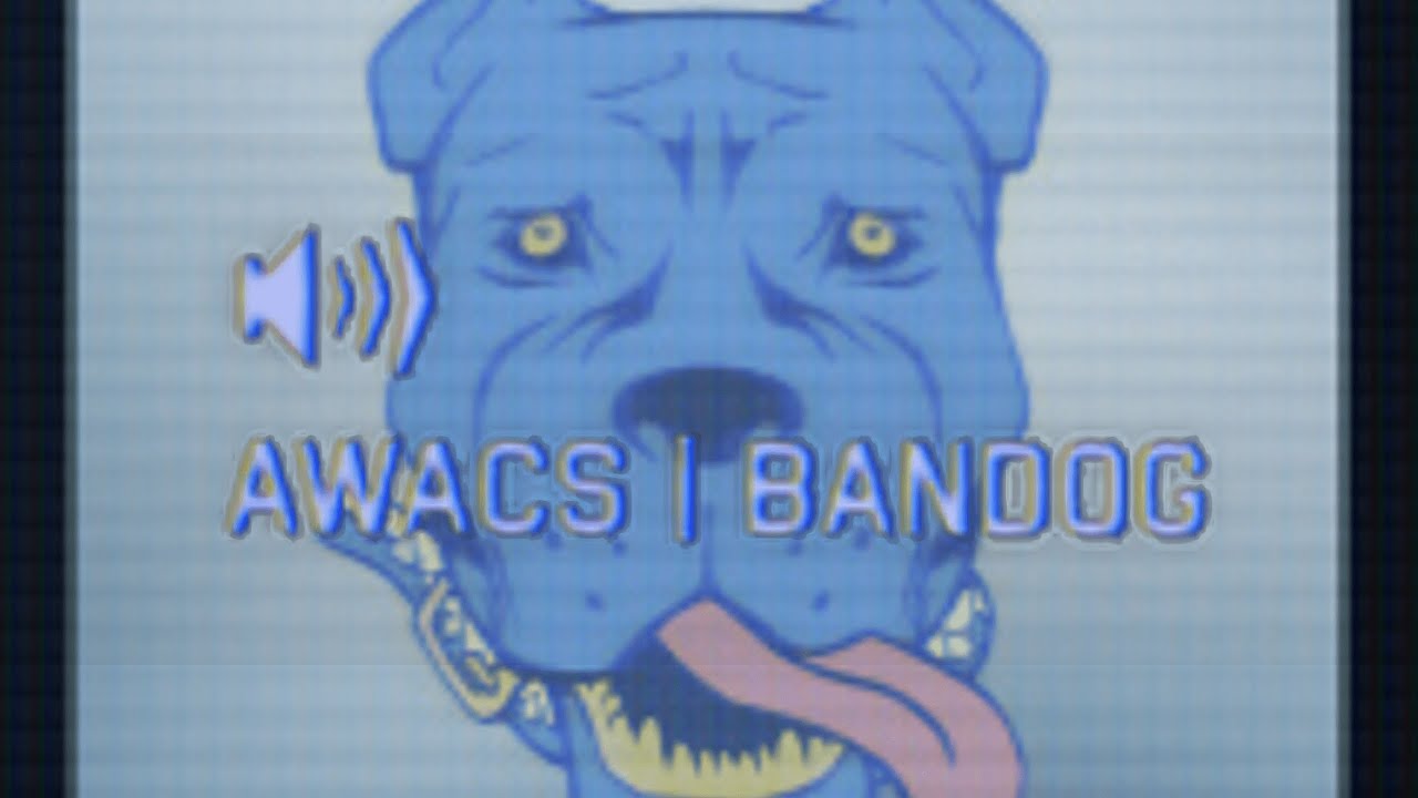 Faceless Wingman (AWACS Bandog mod for Project Wingman)