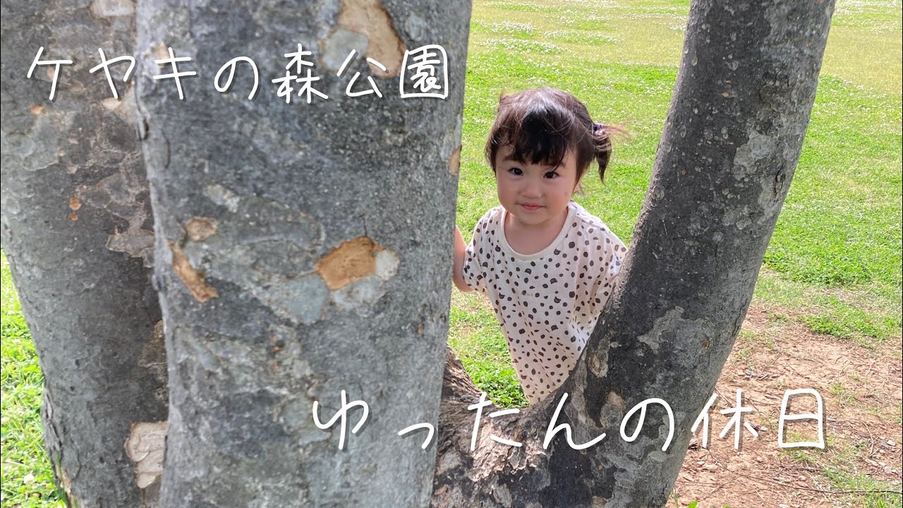 ゆったんの休日〜長野県木島平村ケヤキの森公園〜