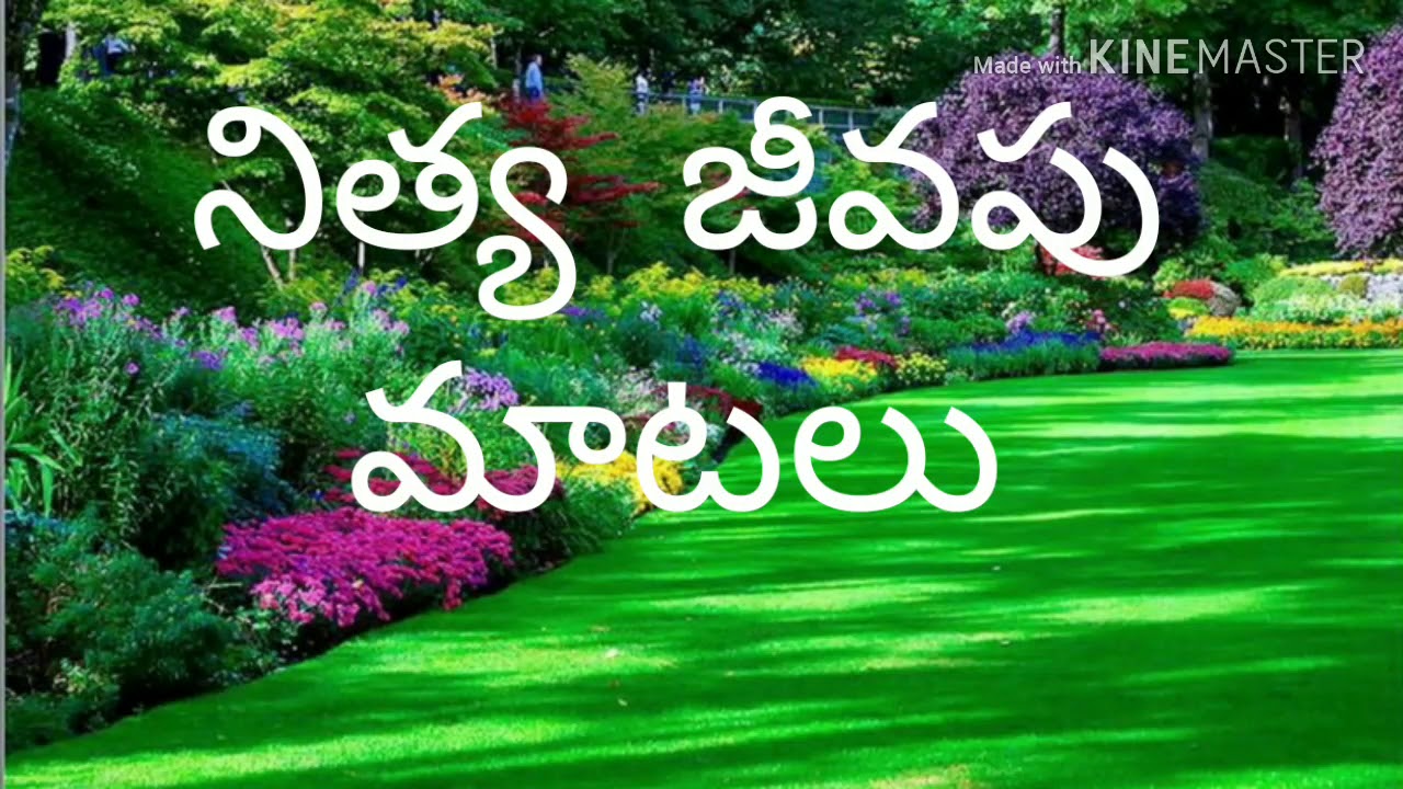 Nithya jeevapu maatalu ( క్షమాపణ )