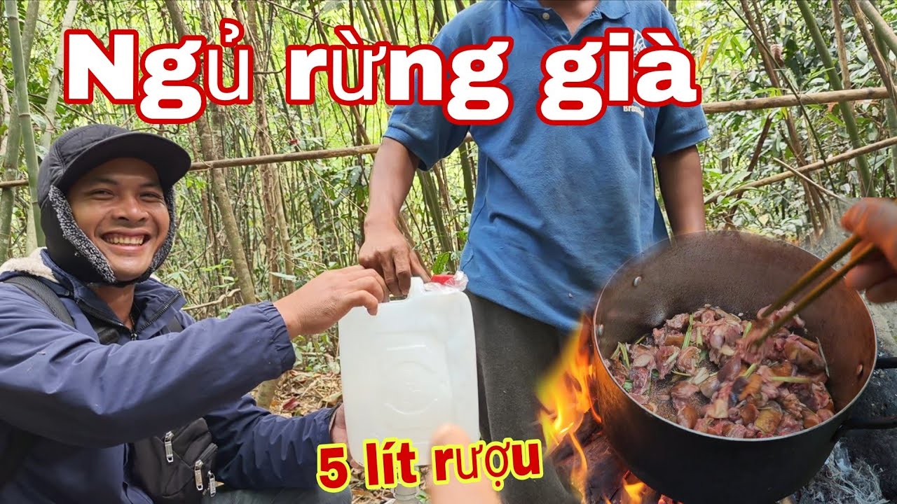 Ngủ rừng già săn mồi với 5 lít rượu