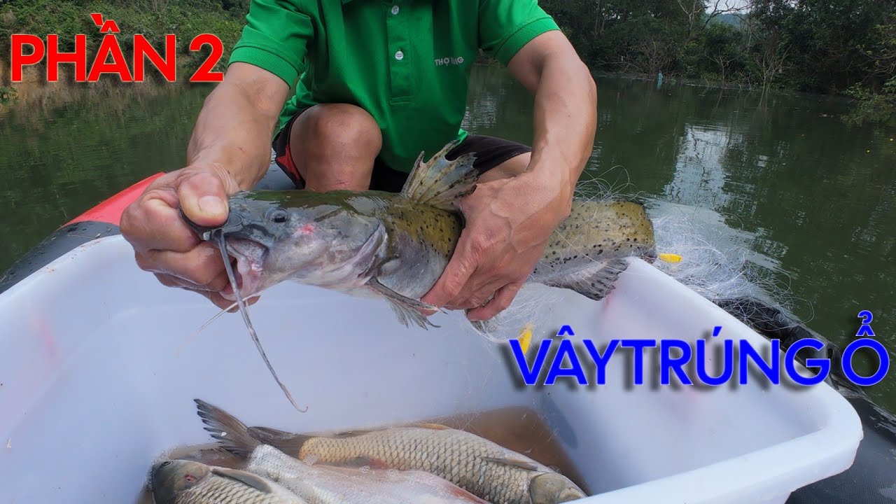 VÂY LƯỚI SĂN ĐÀN CÁ...(-PHẦN 2) .CÁI KẾT KHÔNG NGỜ TỚI- Camera Thợ Rừng