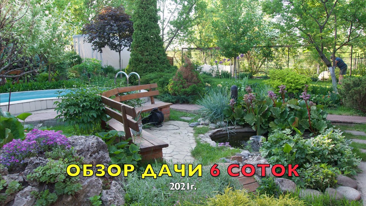 ПРОГУЛКА ПО ДАЧЕ с  описанием и НАЗВАНИЯМИ РАСТЕНИЙ.