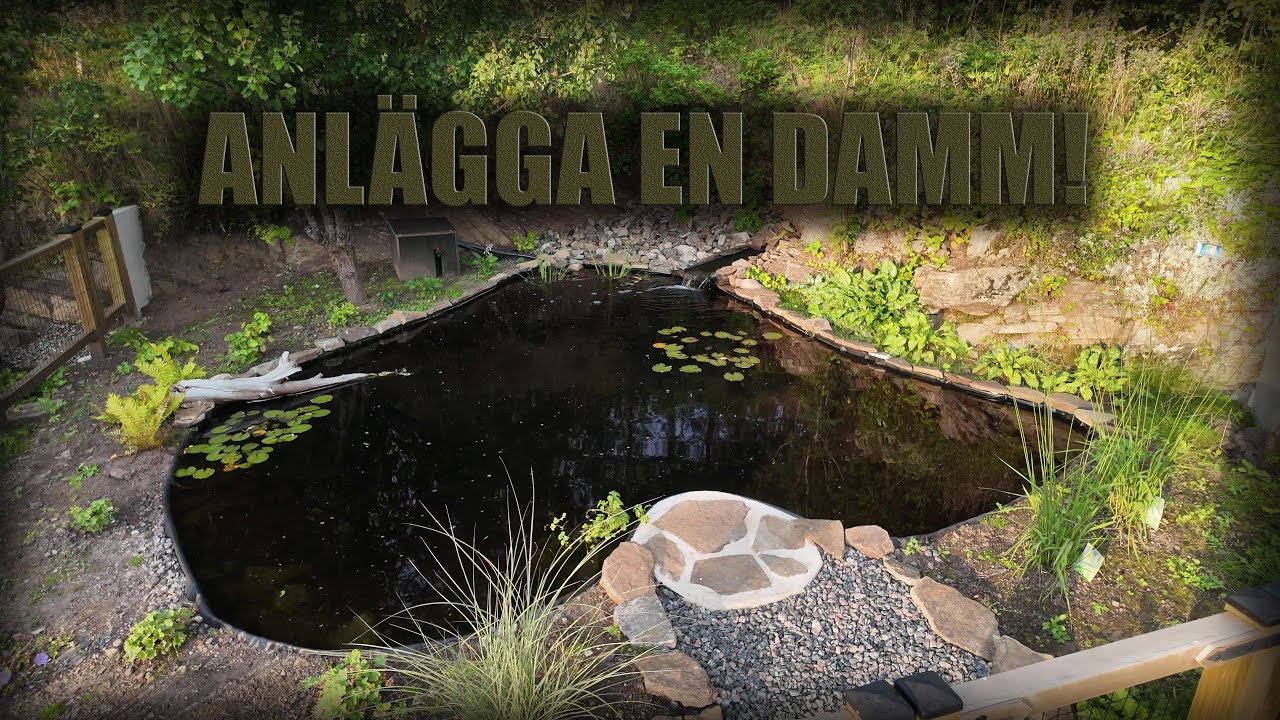 HUR MAN GRÄVER EN DAMM! 