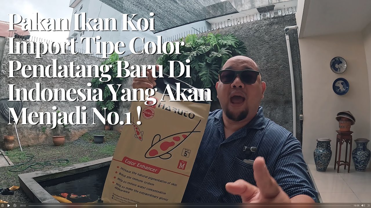 Pakan Ikan Koi Import Tipe Color Pendatang Baru Di Indonesia Yang Akan Menjadi No.1