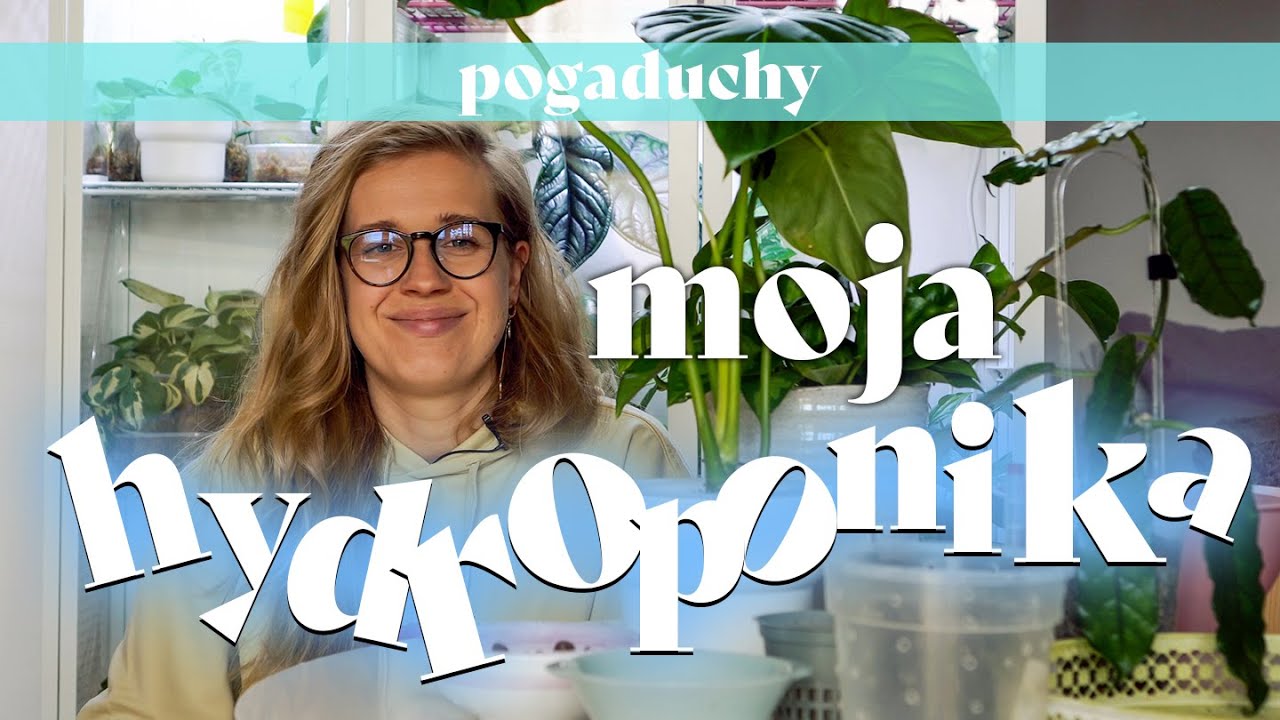 💧 Hydroponika wg mnie - jak u mnie to wygląda 💧