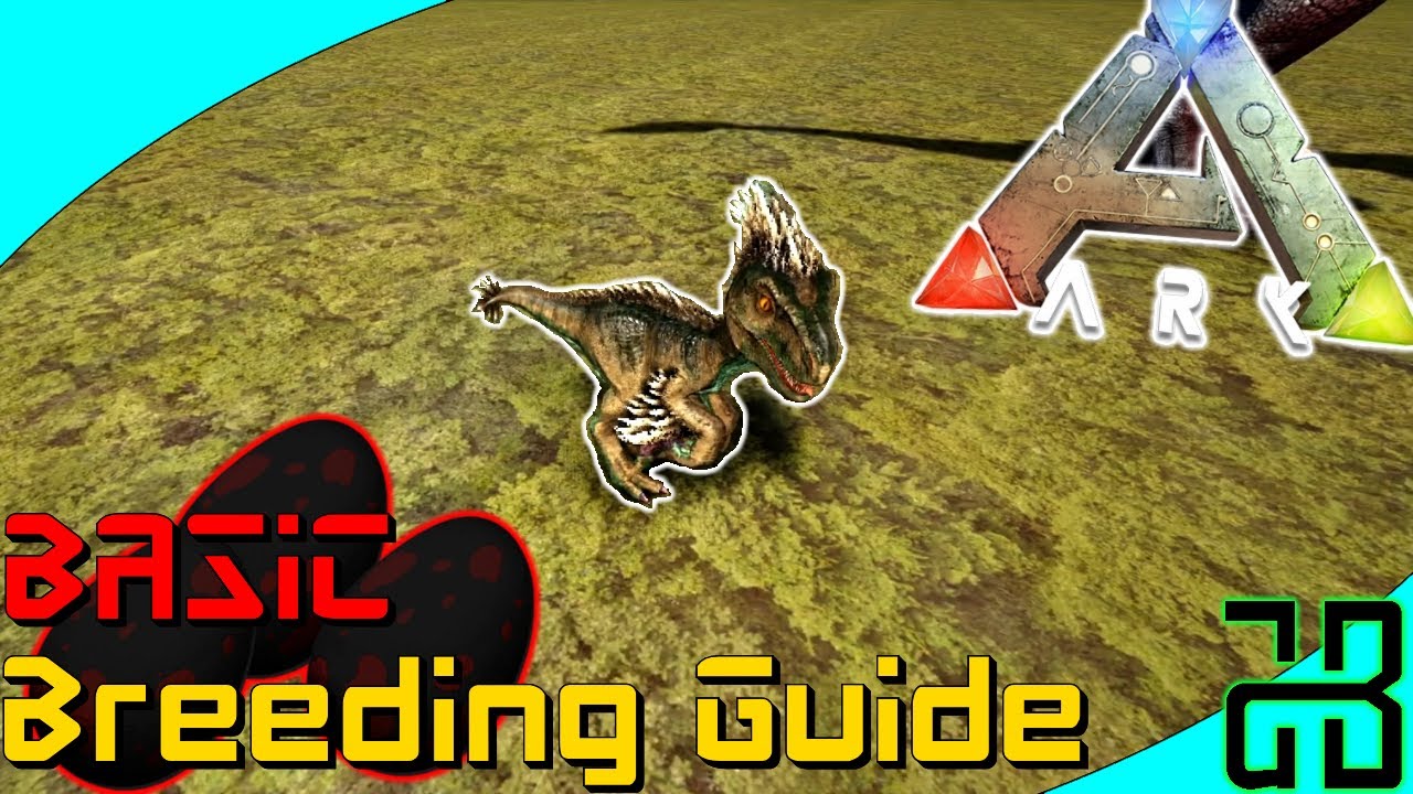 BASIC Breeding Guide - How to breed Dino's | ARK: Survival Evolved