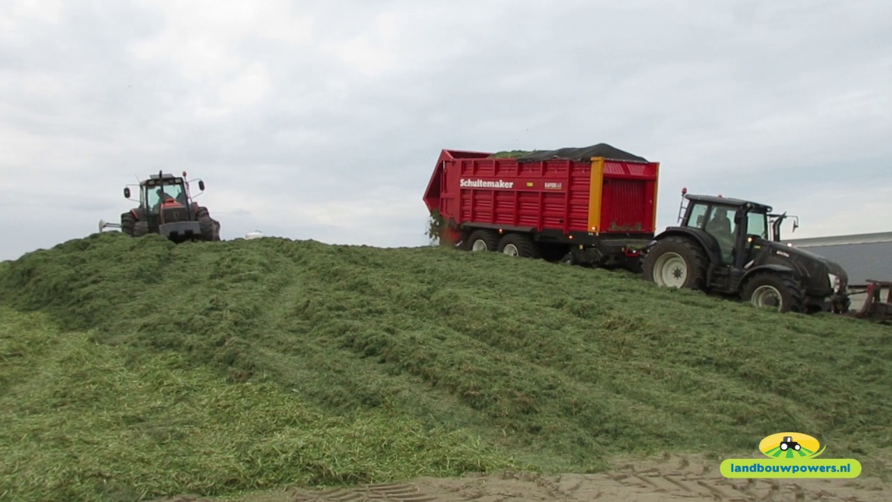 Gras inkuilen door melkveebedrijf Postma