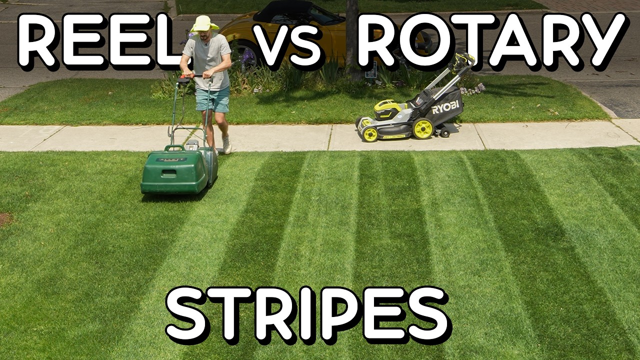 BEST LAWN STRIPES! Rotary vs Reel Mowing Real World Test