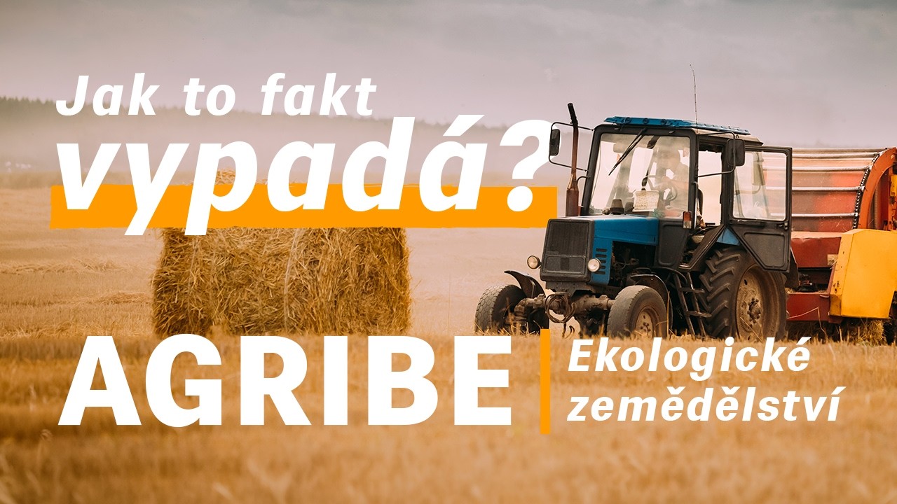 Ekologické zemědělství na ČZU — jak to fakt vypadá? | Student programu AGRIBE