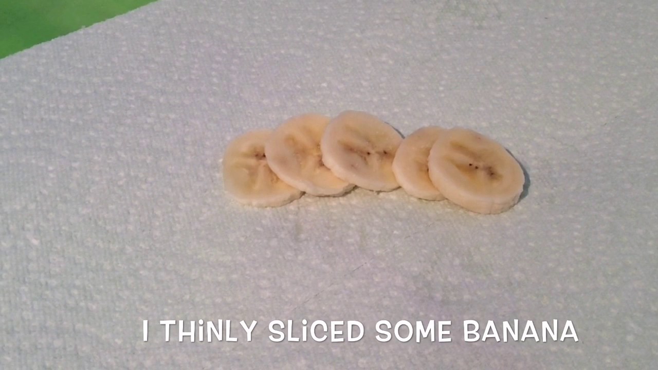 DIY Birthday Cake for Hamsters