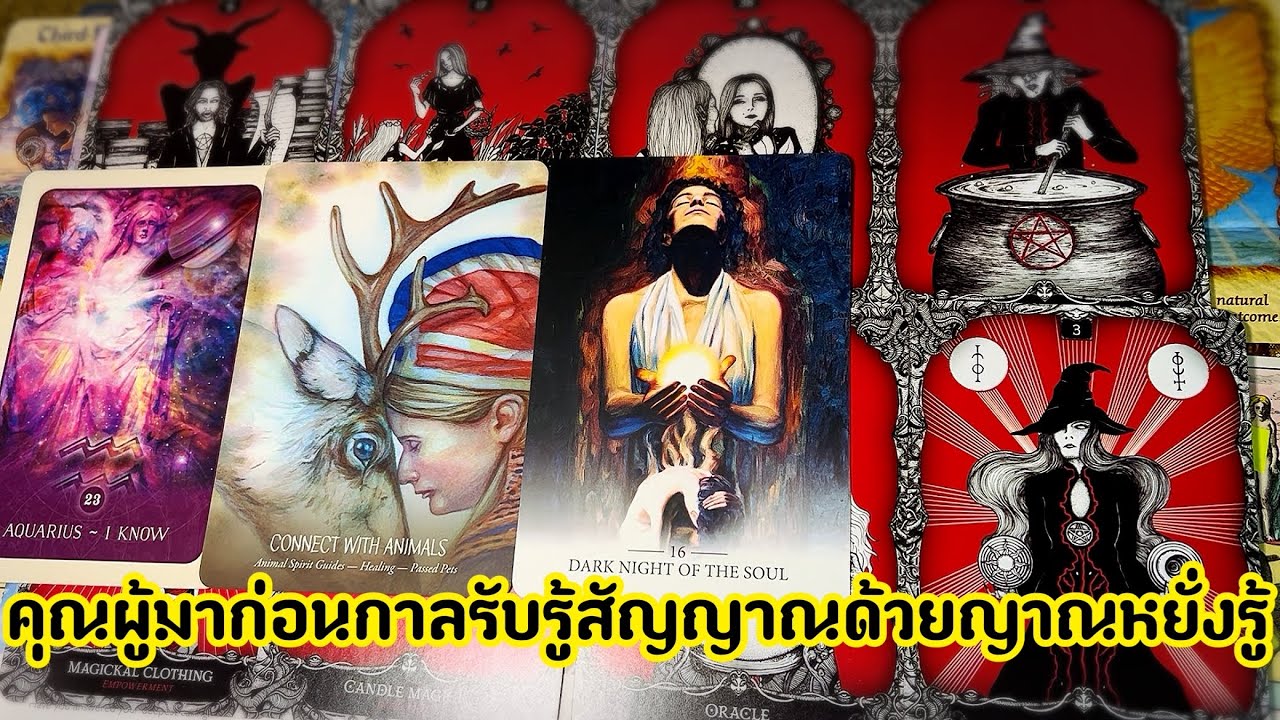 โลกเก่ากำลังล่มสลายอวสาน คุณผู้มาก่อนกาลรับรู้สัญญาณการเปลี่ยนแปลงที่จะเกิดขึ้นด้วยญาณหยั่งรู้