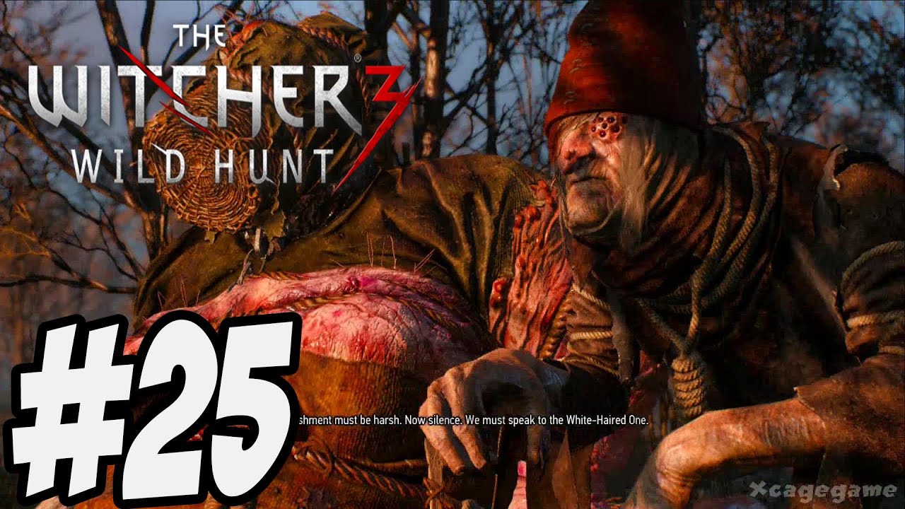 The Witcher 3 Wild Hunt - Gameplay Walkthrough Part 25 [ HD ]
