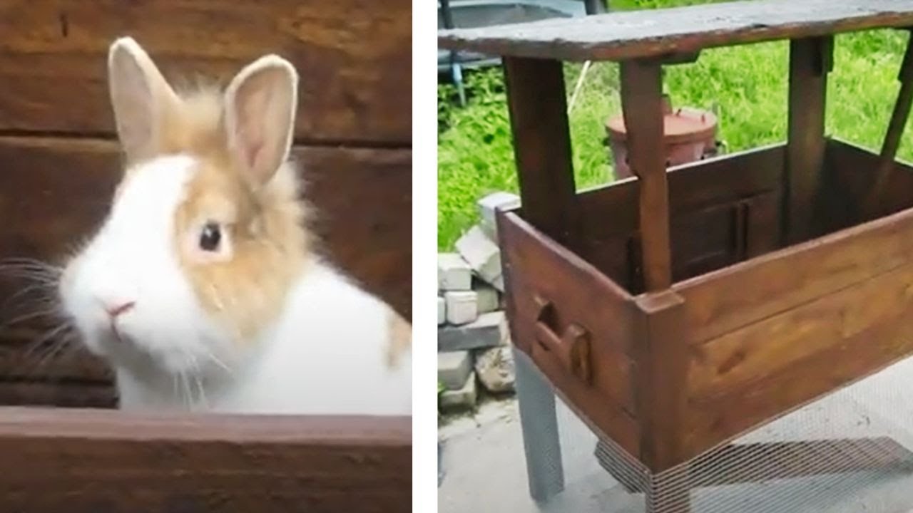Hasenstall bauen Kaninchenstall einfach selber bauen Kaninchenstall mit kleinem Freigehege