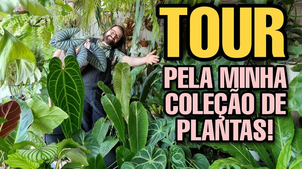 TOUR PELA MINHA COLEÇÃO DE PLANTAS RARAS NO APARTAMENTO - Jardim Atualizado e suculentas