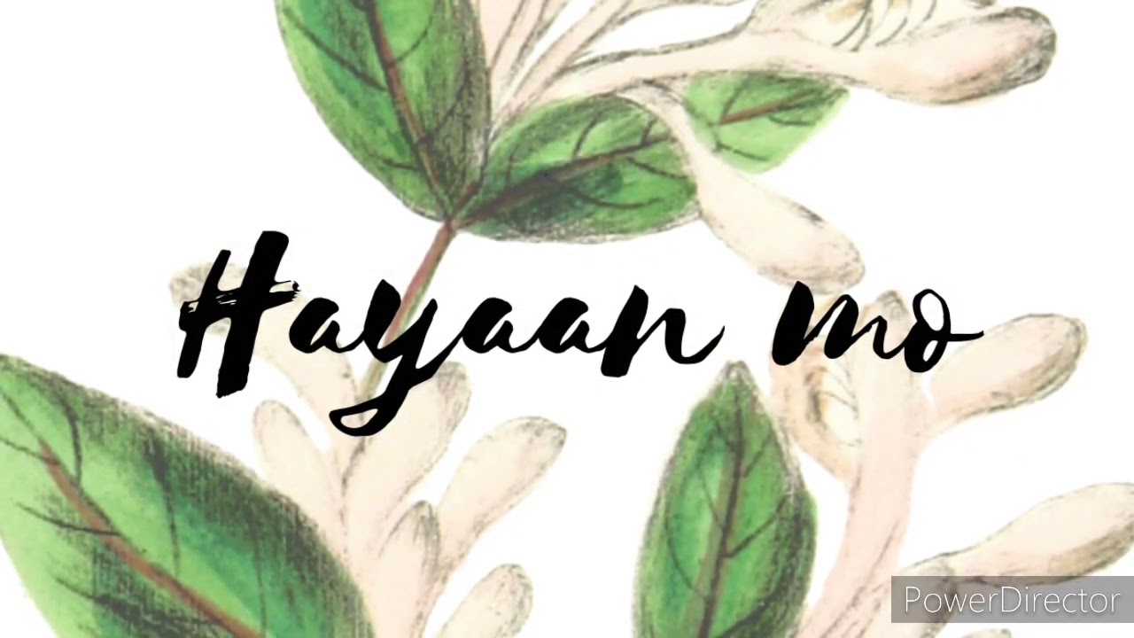 Hayaan mo lyrics video